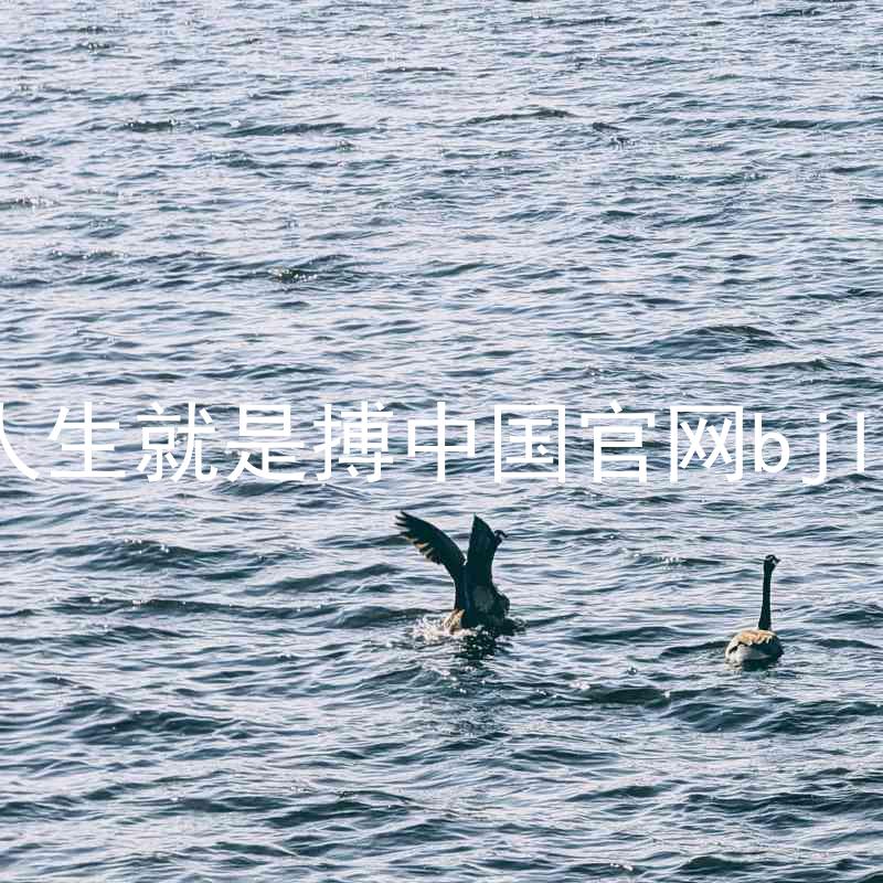 人生就是搏中国官网bjl8